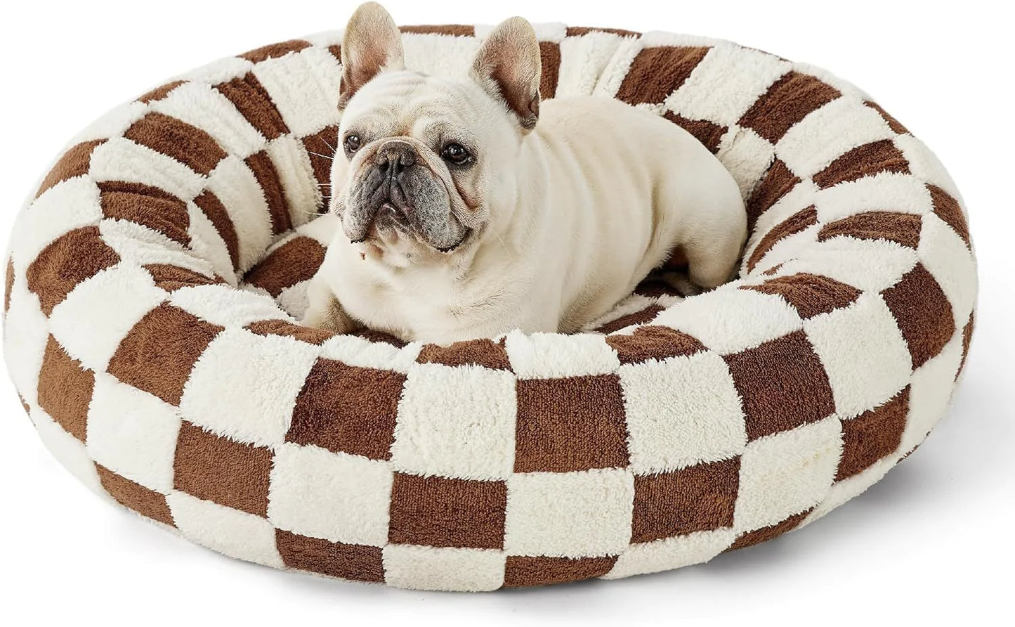 Fluffy & Comfortable