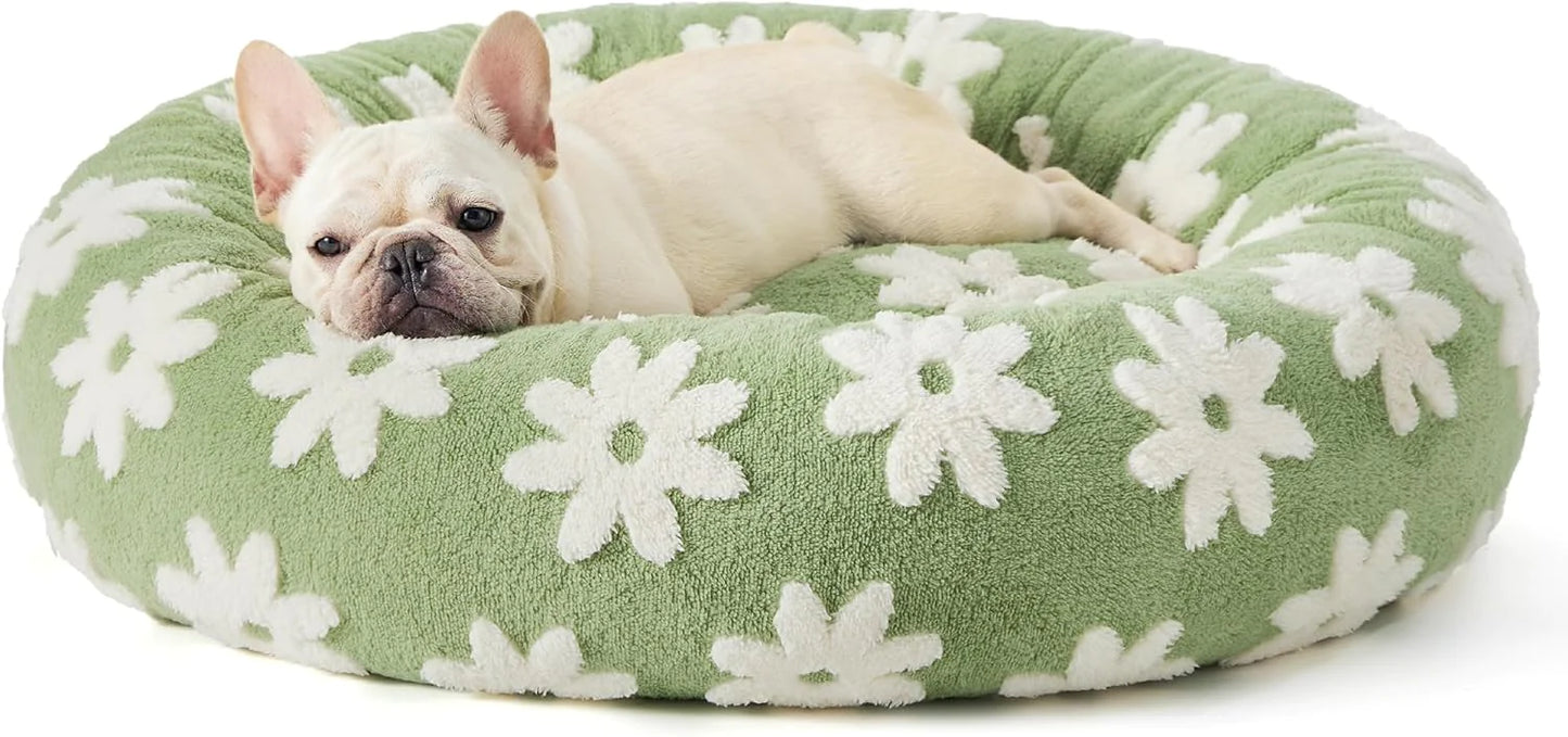 Fluffy & Comfortable